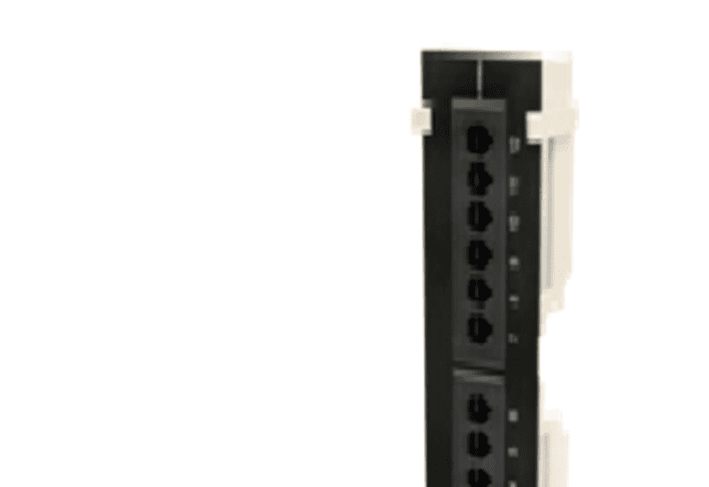 Cat 6 UTP Vertical Patch panel Loaded  12 Port