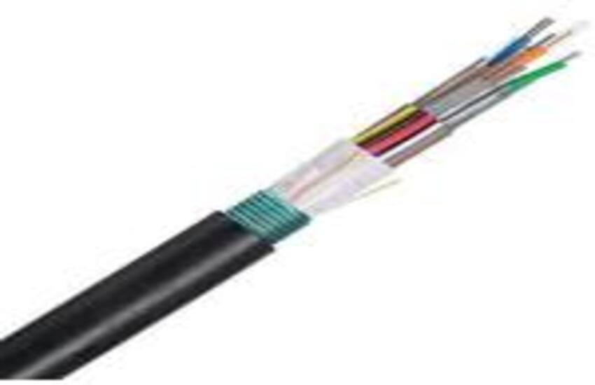 Armored Fiber Cable, OM4, 24 core